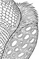 Free Alien Coloring Page - Scaly Fur and Wiggly Spots Close-Up (Printable PDF)