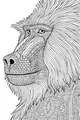 Free Baboon Coloring Page - Intricate Patterned Baboon Profile (Printable PDF)