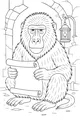 Free Baboon Coloring Page - Wise Baboon With Secret Scroll (Printable PDF)