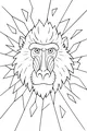 Free Baboon Coloring Page - King Baboon Face with Burst Mane (Printable PDF)