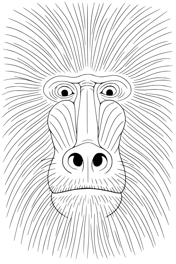 Free Baboon Coloring Page - Funny Big Face with Whooshy Whiskers (Printable PDF)