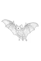 Free Bat Coloring Page - Detailed Nighttime Flight (Printable PDF)