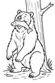 Free Bear Coloring Page - Forest Bear With Fish Snack (Printable PDF)