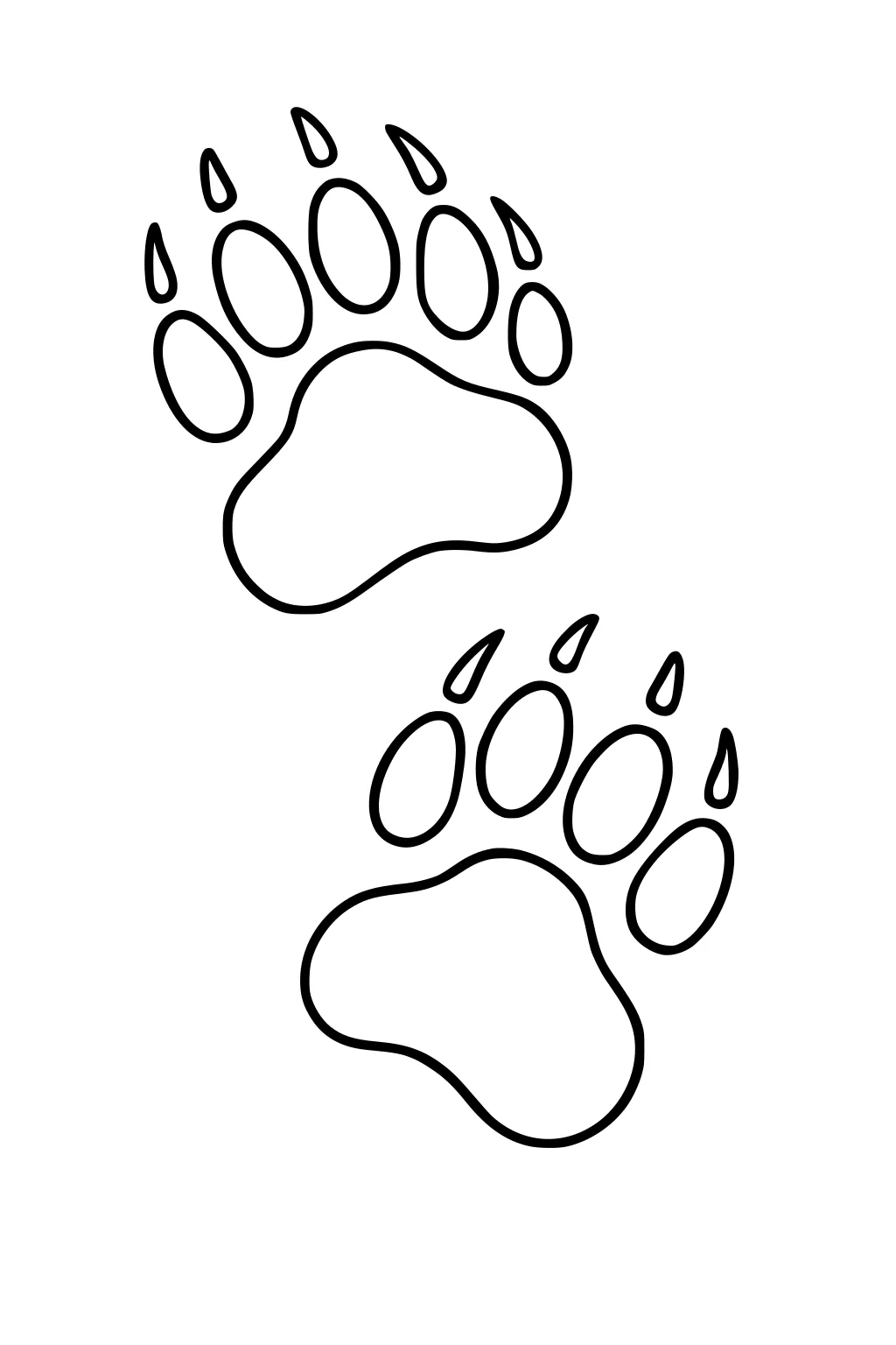 Two big bear paw prints with toes and claws, outlined on a plain background.