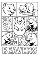 Free Beaver Coloring Page - Busy Cartoon Beavers at the Dam (Printable PDF)