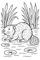 Free Beaver Coloring Page - Cute Beaver by the Pond (Printable PDF)