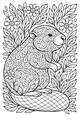 Free Beaver Coloring Page - Mr. Beaver in a Secret Garden (Printable PDF)