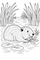 Free Beaver Coloring Page - Snack Time in the Lily Pond (Printable PDF)