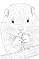 Free Beaver Coloring Page - Fluffy Beaver on Tree Branch (Printable PDF)