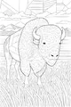 Free Buffalo Coloring Page - Mighty Bison in Tall Prairie Grass (Printable PDF)