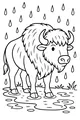 Free Buffalo Coloring Page - Rainy Grassland Stroll (Printable PDF)