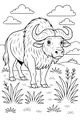 Free Buffalo Coloring Page - Fluffy Fur on the Prairie (Printable PDF)