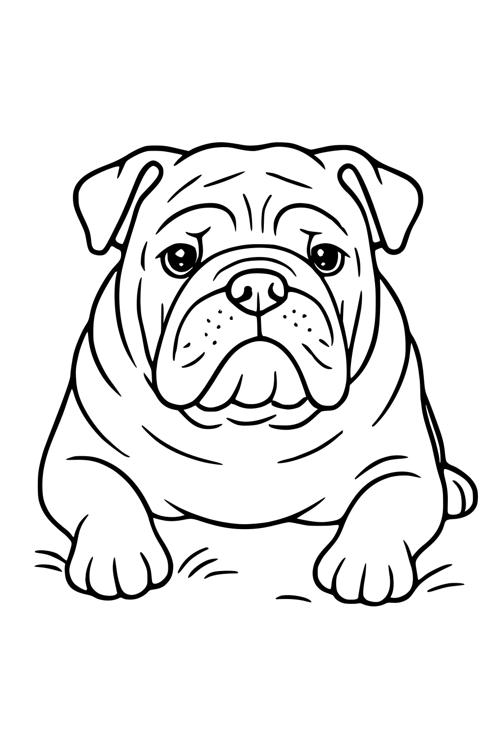 Bulldog with wrinkled face and floppy ears lying with paws forward on blank background.