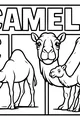 Free Camel Coloring Page - Mother And Baby Camels In Desert (Printable PDF)