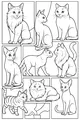 Free Cat Coloring Page - Nine Cats in a Window Frame (Printable PDF)