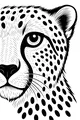 Free Cheetah Coloring Page - Close-Up Face With Spots (Printable PDF)