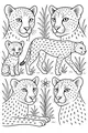 Free Cheetah Coloring Page - Cheetah Family in Tall Savanna Grass (Printable PDF)
