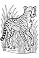 Free Cheetah Coloring Page - Spotted Big Cat in Tall Grass (Printable PDF)