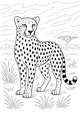 Free Cheetah Coloring Page - Spotty Cheetah in Tall Savannah Grass (Printable PDF)