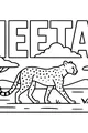 Free Cheetah Coloring Page - Walking in the African Savanna (Printable PDF)