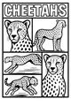 Free Cheetah Coloring Page - Five Speedy Cheetahs in Comic Panels (Printable PDF)