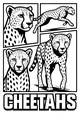 Free Cheetah Coloring Page - Comic-Style Running and Standing Cheetahs (Printable PDF)