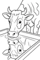 Free Cow Coloring Page - Thirsty Cow at Water Trough Reflection (Printable PDF)