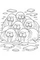 Free Walrus Coloring Page - Sleeping Walrus Huddle on Ice Floes (Printable PDF)