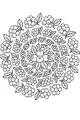 Free Cranberry Wreath Coloring Page - Thanksgiving Harvest Mandala (Printable PDF)