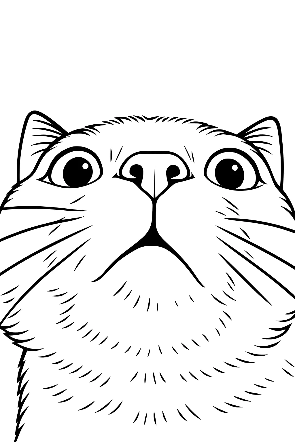 Close up of a domestic cat's face from below, showing large eyes, nose, and long whiskers.