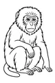 Free Monkey Coloring Page - Shaggy Young Monkey Sitting (Printable PDF)