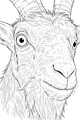 Free Goat Coloring Page - Close-Up Face With Big Eyes And Beard (Printable PDF)