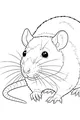 Free Rat Coloring Page - Realistic Pet With Long Whiskers (Printable PDF)