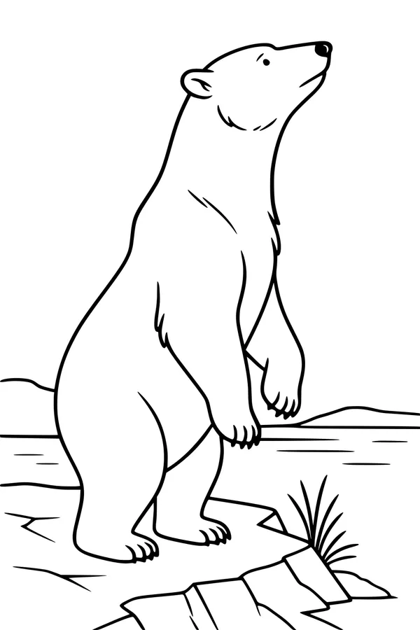 Free Polar Bear Coloring Page - Standing On Icy Lakeshore (Printable PDF)