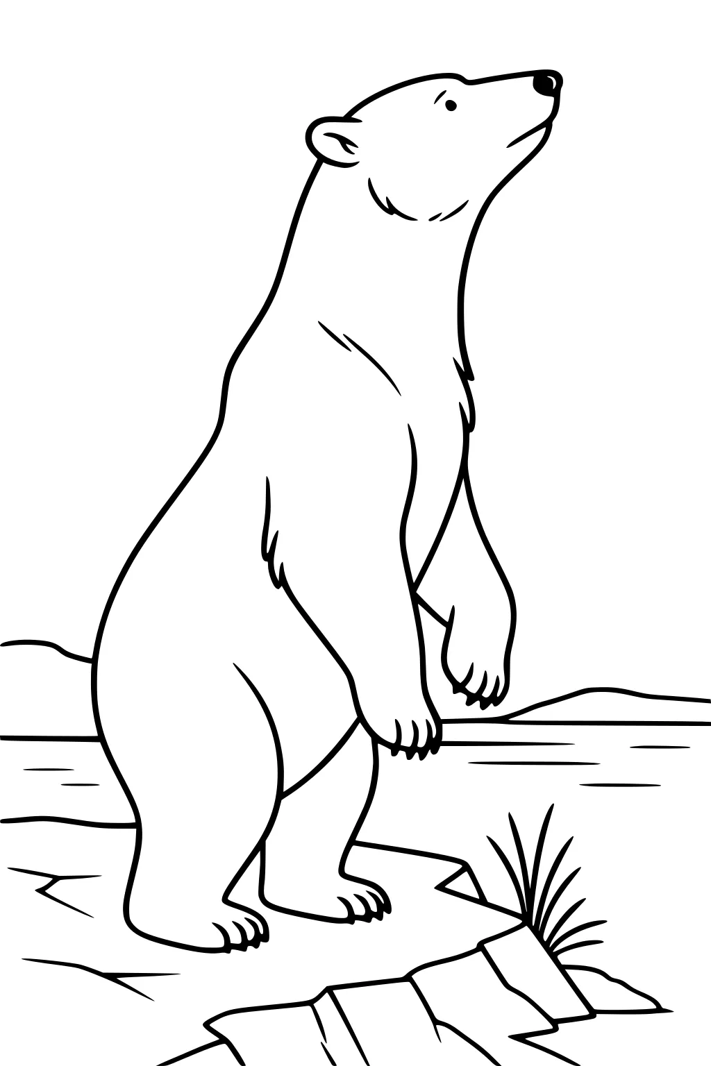 Polar bear standing upright on rocks beside a lake, with arctic grass and hills in the background.