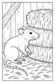 Free Rat Coloring Page - Barn Floor by Hay Bales (Printable PDF)