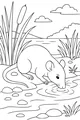 Free Rat Coloring Page - Thirsty Rat by the Pond (Printable PDF)