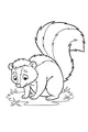 Free Skunk Coloring Page - Cute Cartoon With Big Fluffy Tail (Printable PDF)