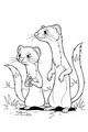 Free Weasel Coloring Page - Two Sly Weasels in Grass (Printable PDF)