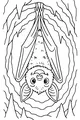 Free Bat Coloring Page - Cute Upside Down Cave Bat (Printable PDF)