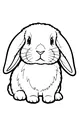 Free Bunny Coloring Page - Fluffy Rabbit With Long Ears (Printable PDF)