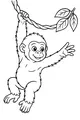 Free Gorilla Coloring Page - Young Ape Swinging on Jungle Vine (Printable PDF)
