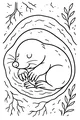 Free Mole Coloring Page - Sleepy Burrow Nap Underground (Printable PDF)