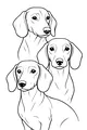 Free Dachshund Dog Coloring Page - Three Puppy Friends Sitting Together (Printable PDF)