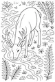 Free Deer Coloring Page - Antlered Deer Drinking From Forest Stream (Printable PDF)