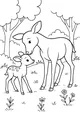 Free Deer Coloring Page - Mother Deer and Fawn in Meadow (Printable PDF)