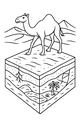 Free Camel Coloring Page - Desert Stroll by Oasis Stream (Printable PDF)