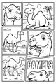 Free Camel Coloring Page - Silly Cartoon Camels in Sunny Desert (Printable PDF)