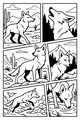 Free Coyote Coloring Page - Desert Adventure In Six Fun Panels (Printable PDF)