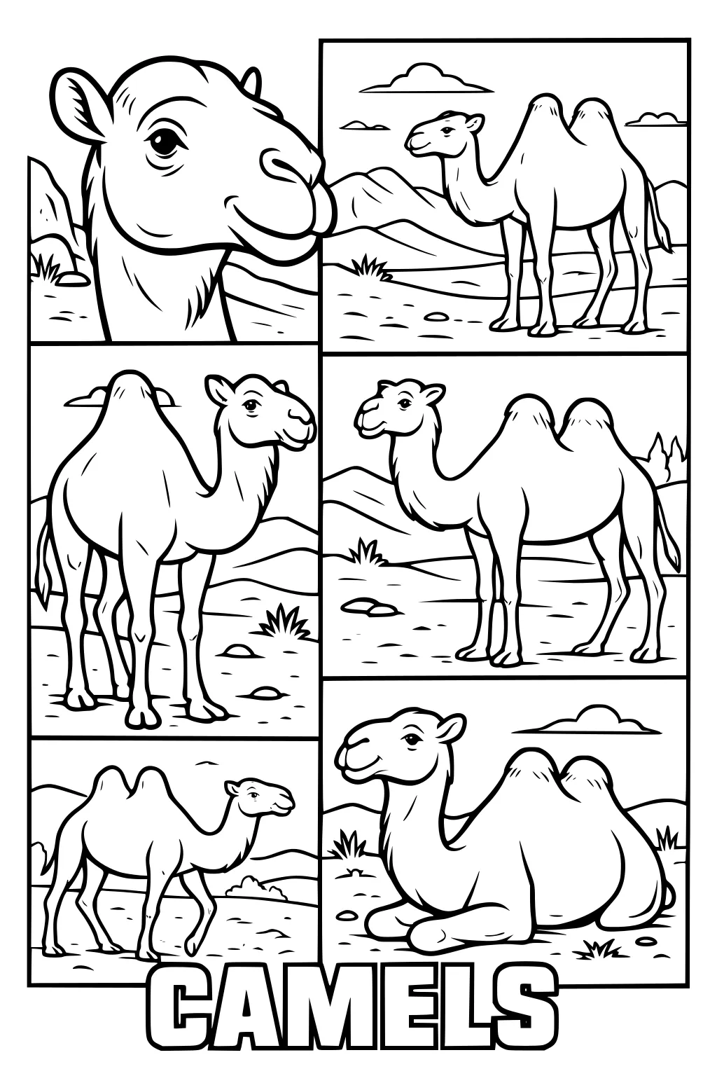 Six camels with two humps each in cartoon squares, one sitting, some standing, with desert hills, bushes, and clouds.